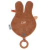 Nattou - Susie Et Bonnie - Doudou Tête Lapin éponge Avec Anneau En Silicone Marron Rouille 33 Cm